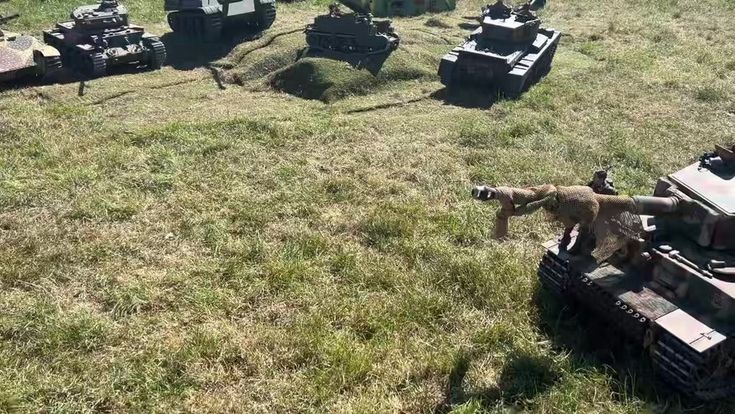 tanks are lined up in the grass near each other