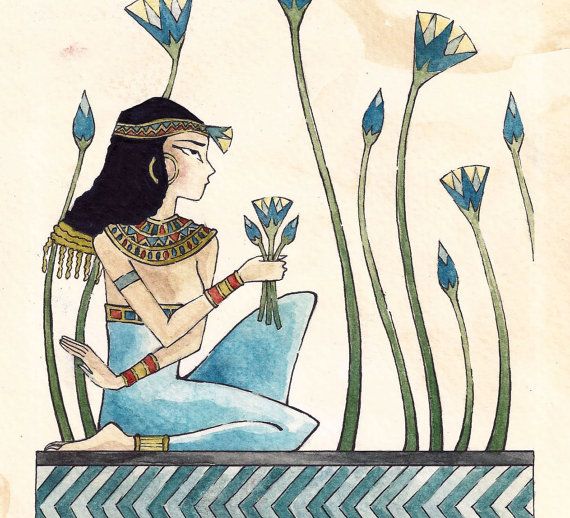 Egyptian Lotus Flower Drawing