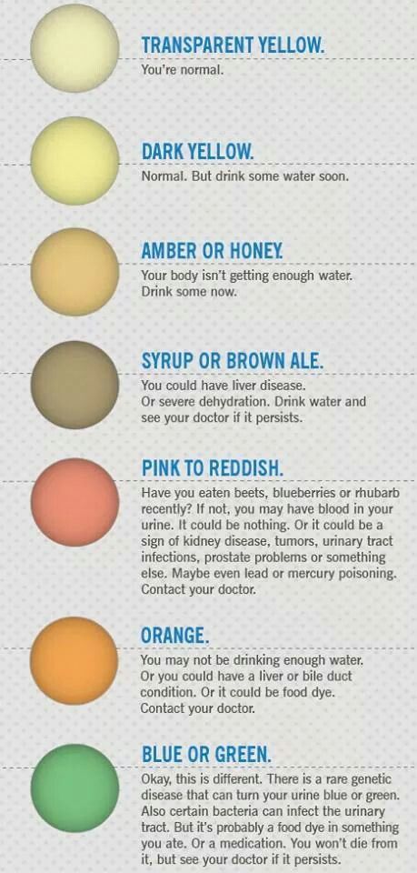 Urine Chart Urine Color Chart, Medical Assistant Notes, Pee Color, Medical Office Assistant, Color Of Urine, Urine Color, Bristol Stool, Bristol Stool Chart, Stool Chart