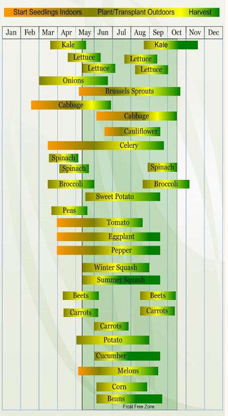 Zone 6 planting guide | Vegetable planting calendar, Planting calendar ...