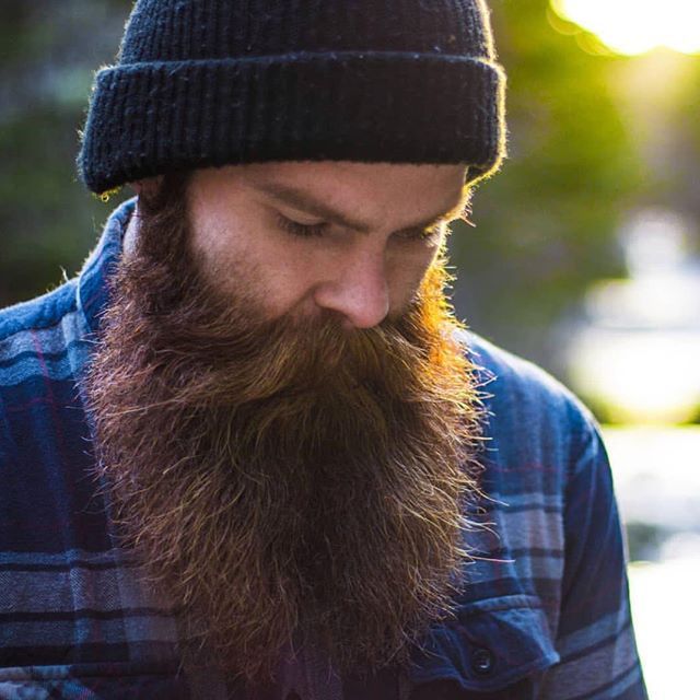 LONG BEARDS | Beard no mustache, Long beards, Hipster beard