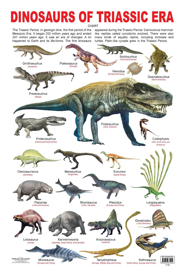 an illustrated poster showing different types of dinosaurs