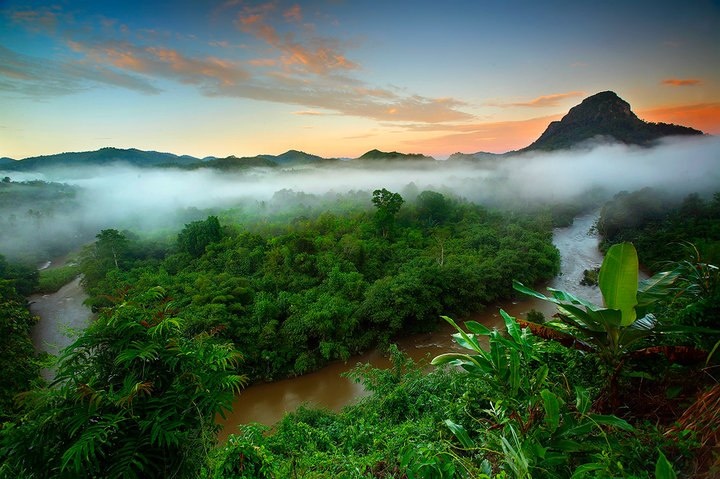 a river surrounded by lush green trees in the middle of a forest at sunset with low hanging clouds