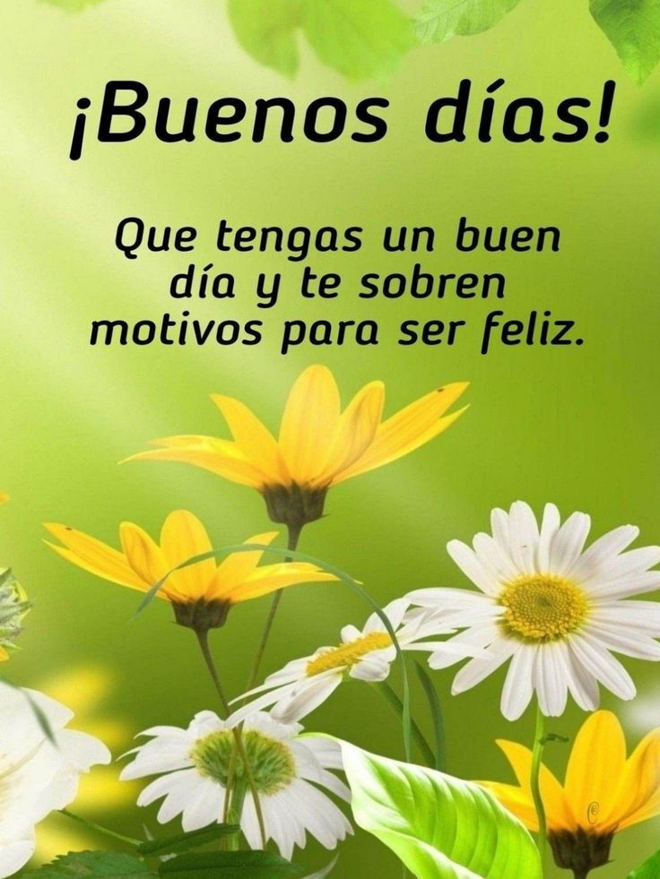 a bunch of yellow and white flowers on a green background with the words i love you in spanish