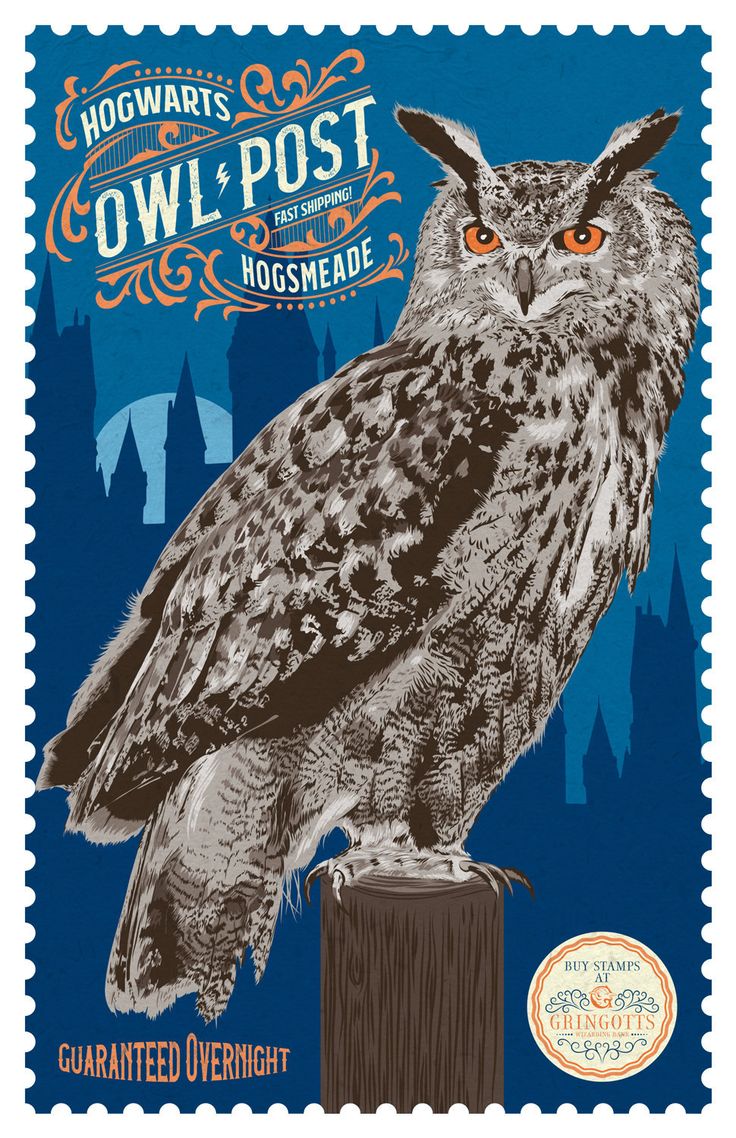 pixalry | Harry potter owl, Harry potter artwork, Harry potter