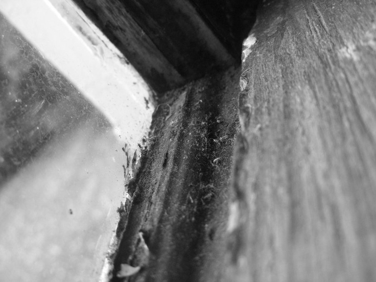 black and white photograph of the corner of a window sill with dirt on it