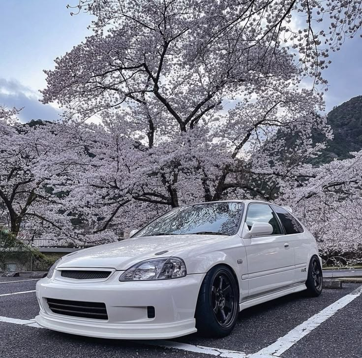 a white car parked in front of some cherry trees