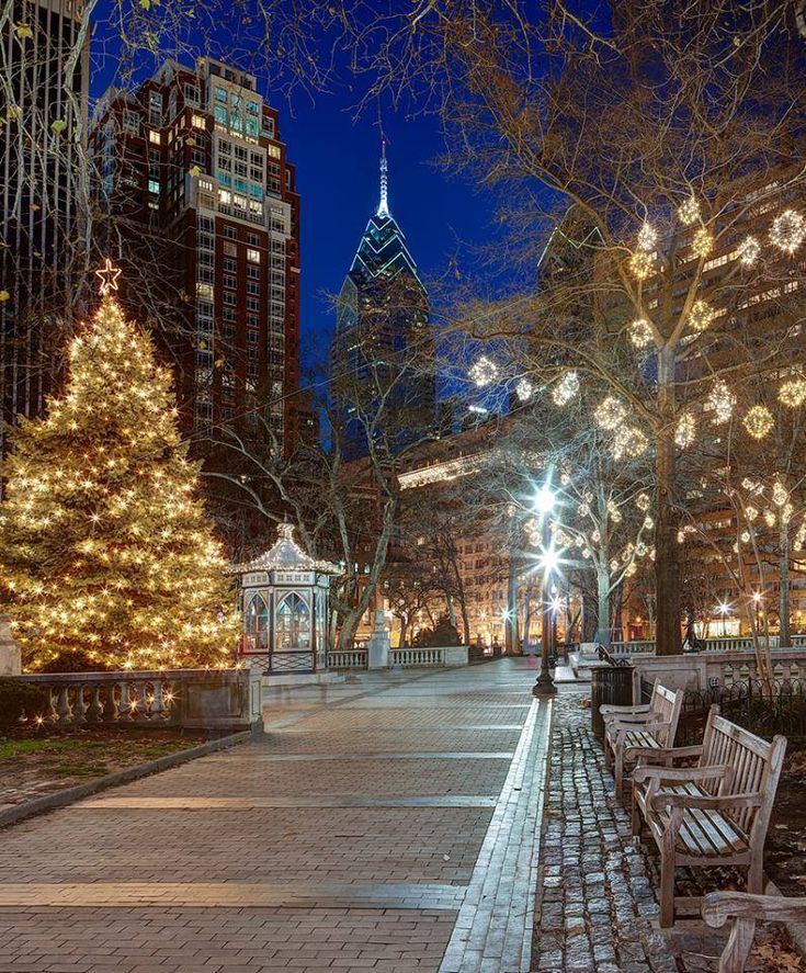 a park with benches and christmas lights in the background