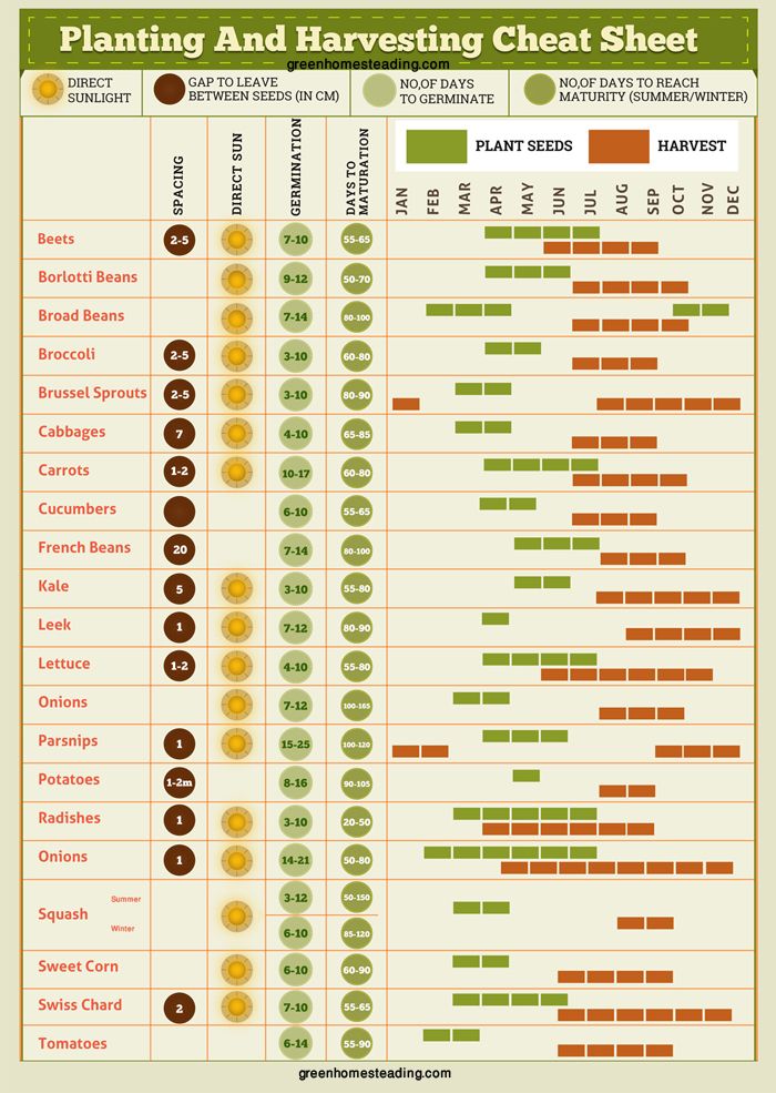 Planting And Harvesting Cheat Sheet | Veggie garden, Starting a ...