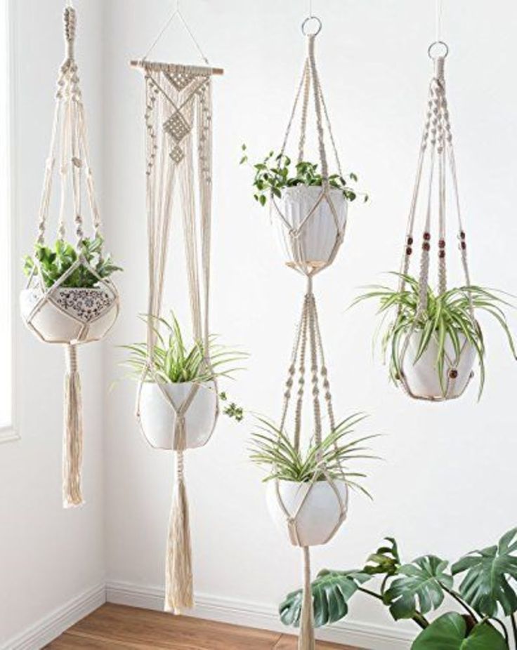 three macrame plant hangers with plants in them and hanging from the ceiling