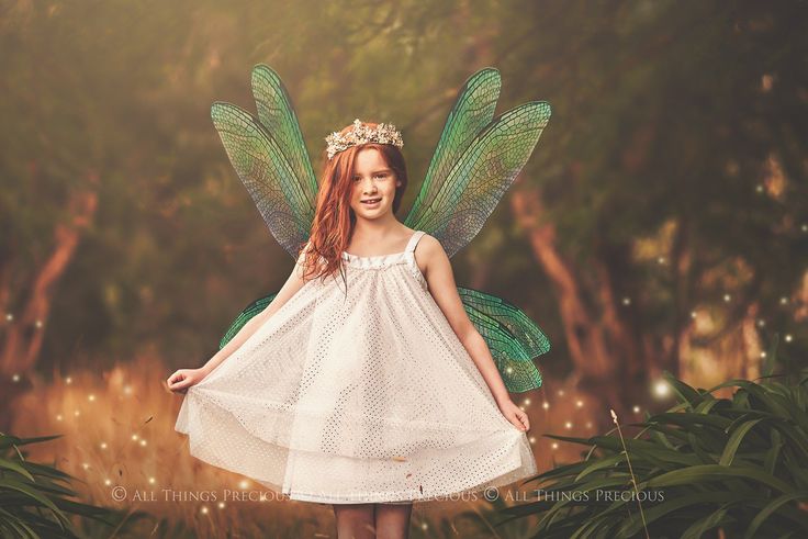 Wing Clipart, Png Overlays, Insect Wings, Graphic Design Assets, Photoshop Overlays, Photographic Studio, Fairy Wings, Photography Editing, Professional Photographer