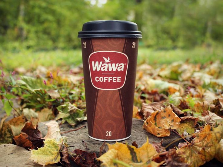 a coffee cup sitting on top of a pile of leaves