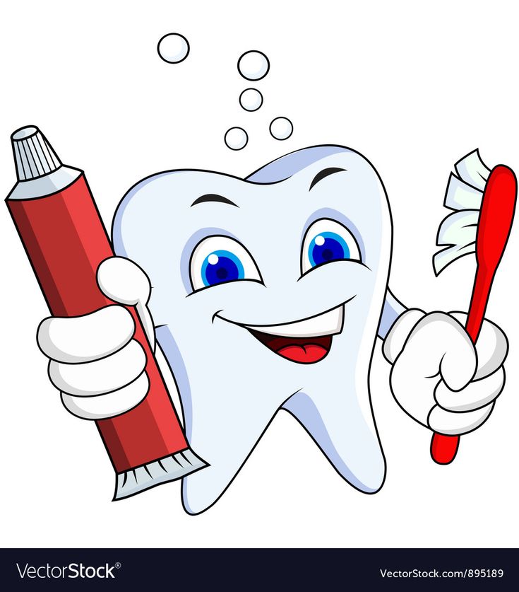 Tooth cartoon Royalty Free Vector Image - VectorStock | Tooth cartoon ...