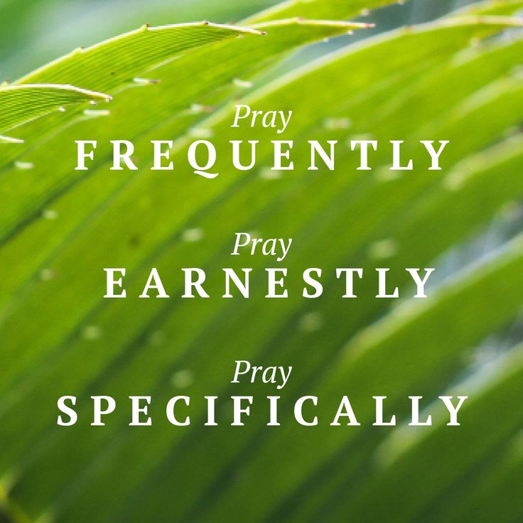 the words pray frequently, pray easily on top of a green leaf