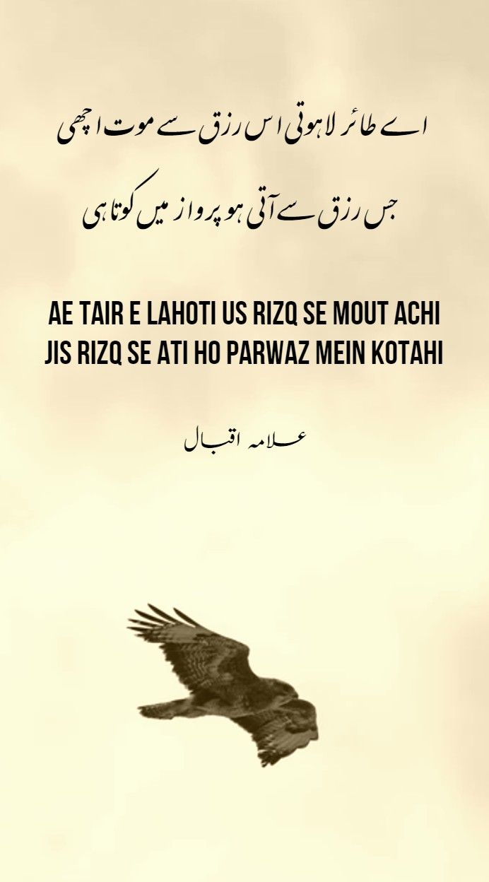 a bird flying in the sky with an arabic quote above it that reads, ae tar e lahoti usr rizq se mout ash