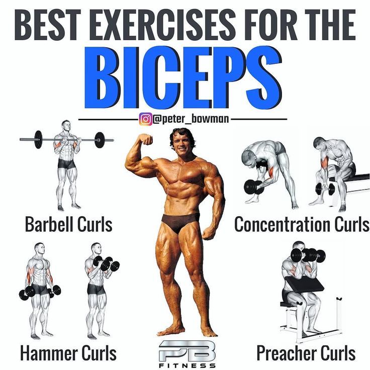 the best exercises for the biceps by peter bomman, physter burnman