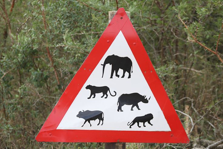 a red and white triangular sign with black animals on it's side in front of trees