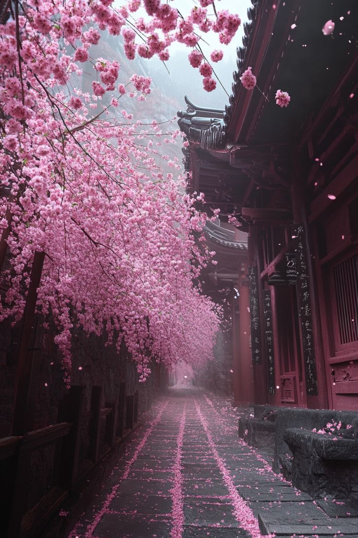 pink flowers are blooming on the trees in front of an old building and walkway