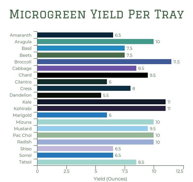 a bar chart showing the percentage of microgreen yield per tray