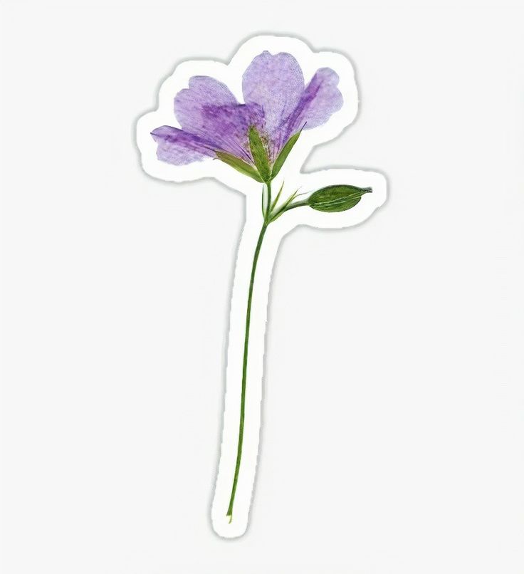 purple flower sticker | Aesthetic stickers, Scrapbook stickers ...