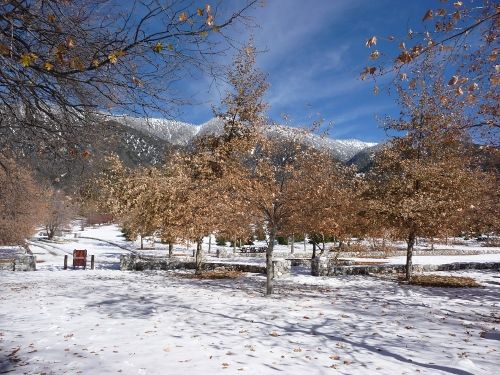 a snowy field with trees in the foreground and mountains in the background, on a sunny day