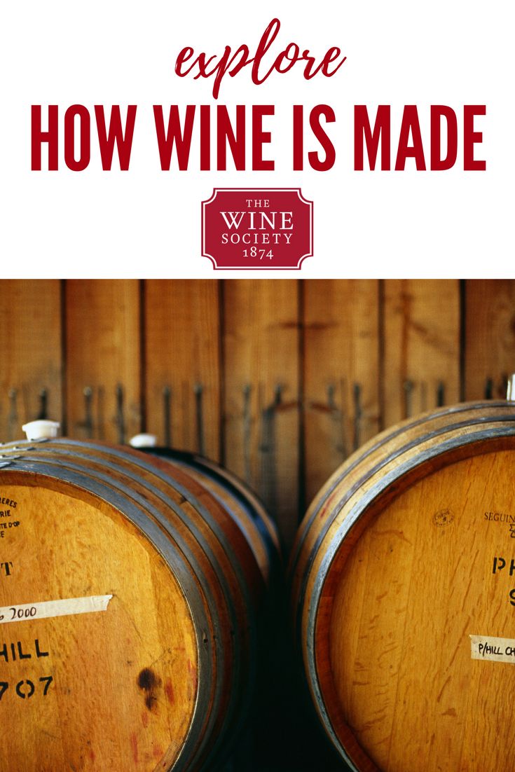 The ultimate guide to winemaking | Wine basics, Wine label maker, Wine ...