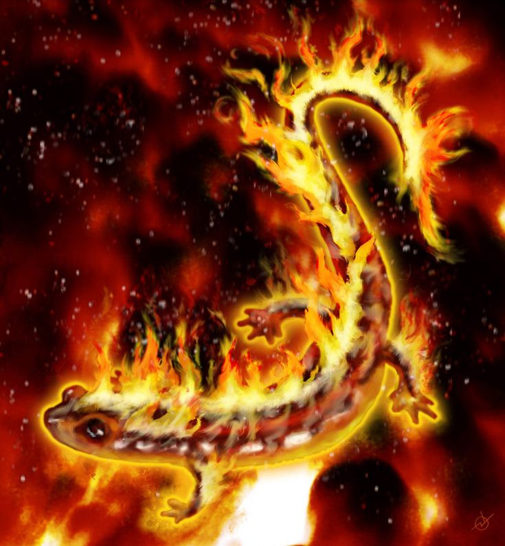 an image of a lizard on fire in the sky