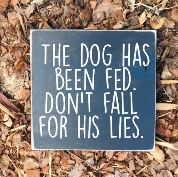 a sign that says the dog has been fed don't fall for his lies