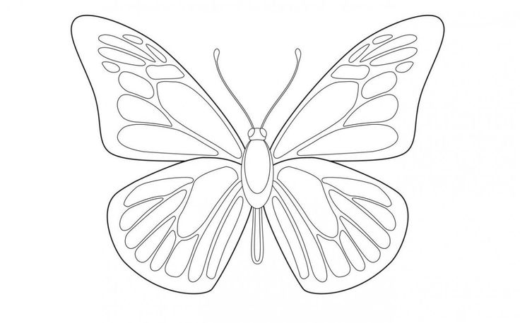 the outline of a butterfly is shown in black and white, with one wing extended