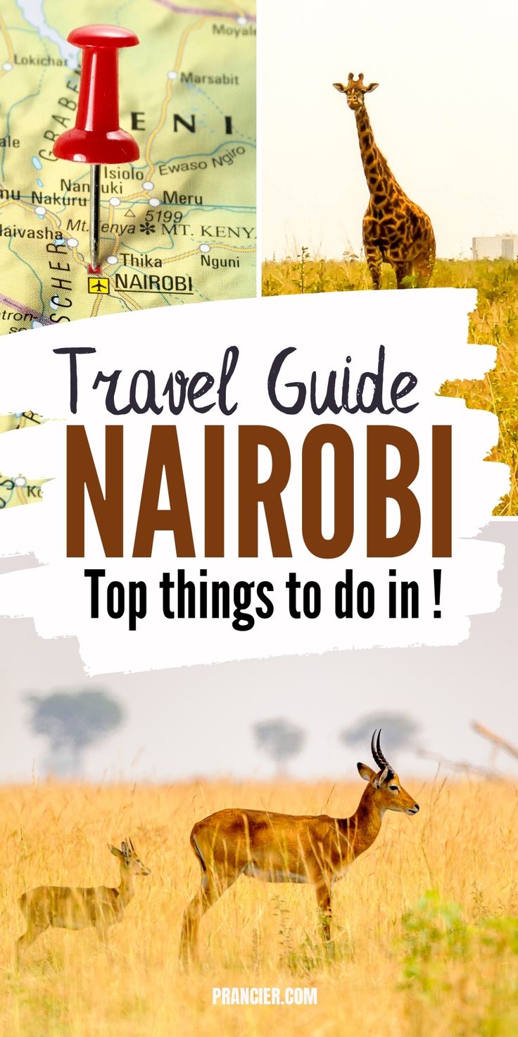 travel guide to narobi top things to do in namibia, africa and the middle east