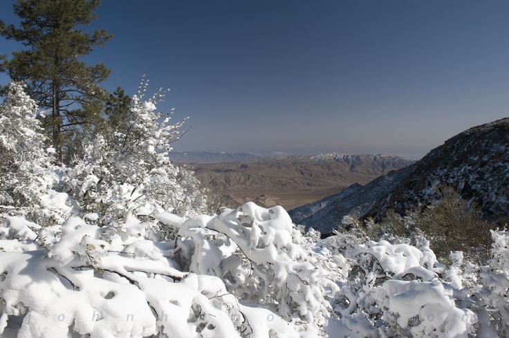 snow covered trees on the side of a mountain with mountains in the backgroud