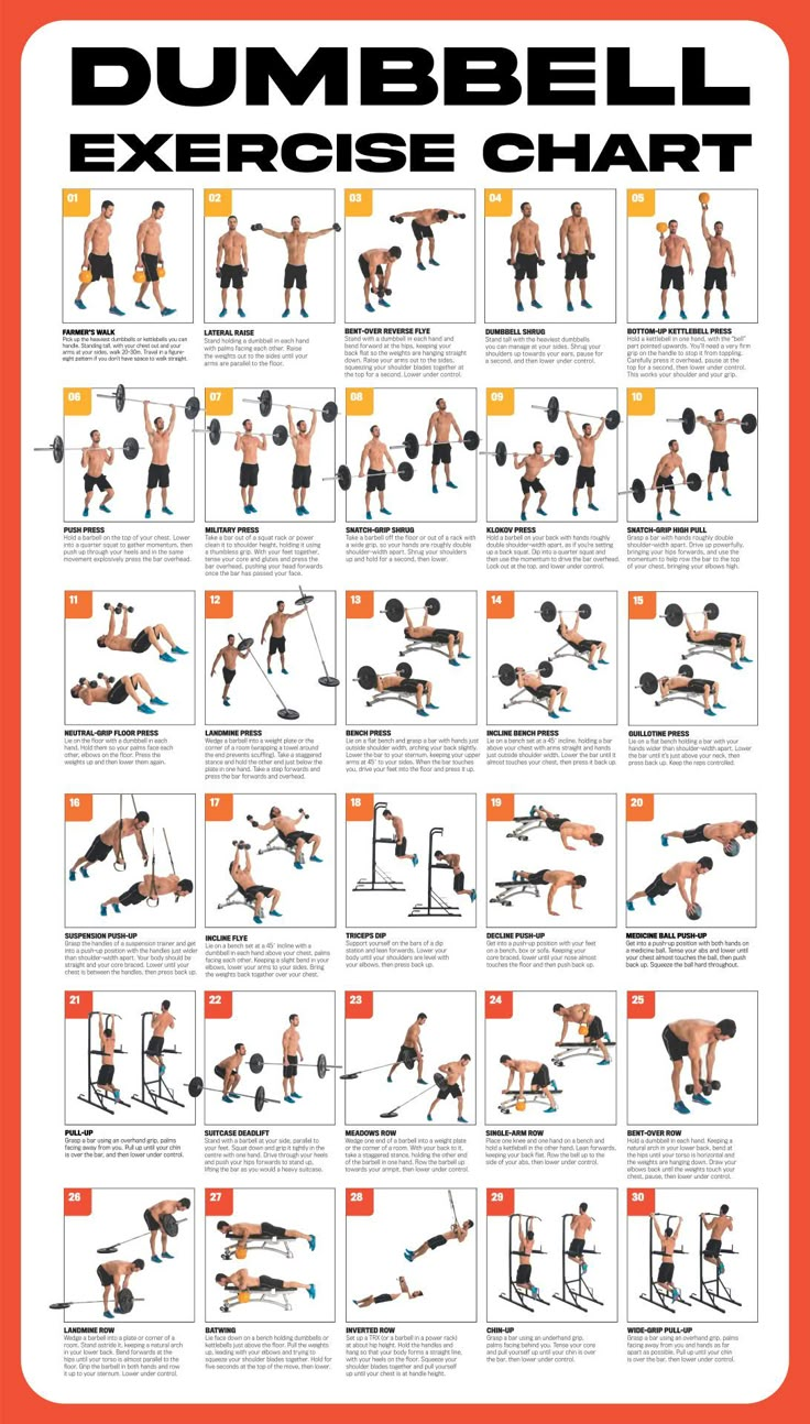 the dumbbell exercise chart shows how to do it