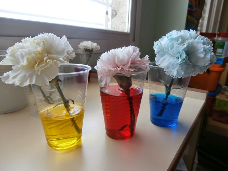 three vases with flowers in them sitting on a table