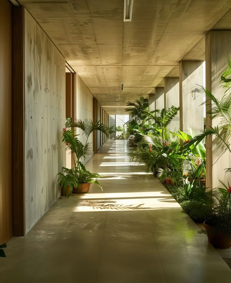 a long hallway with lots of plants on both sides