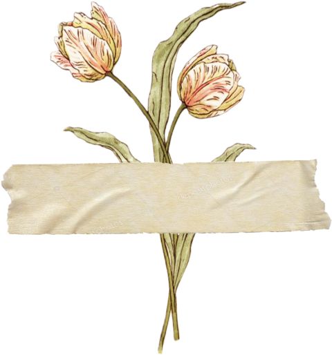 three pink flowers are on top of a white paper with an empty banner in the middle