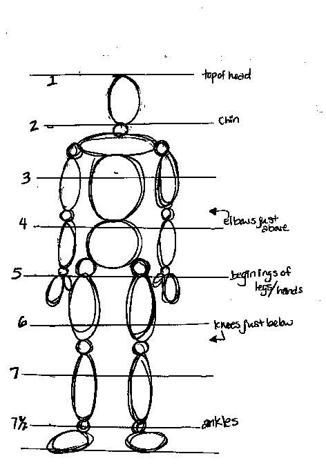 an outline drawing of a human figure with the name and description on it's side