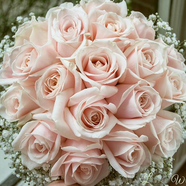 a bouquet of pink roses sitting on top of a table