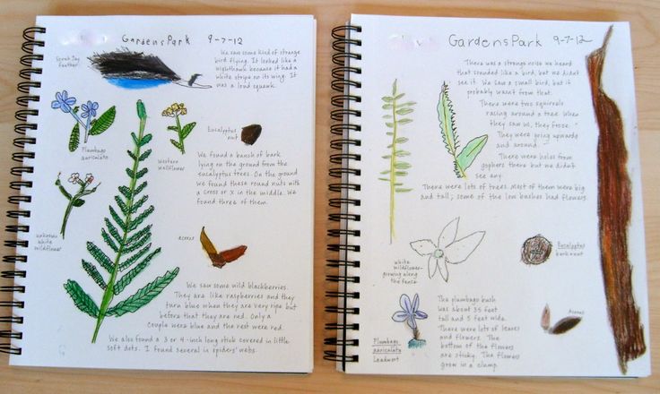 two notebooks with pictures of plants on them