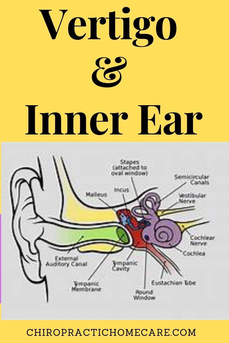 Positional Vertigo or Benign Paroxysmal Positional Vertigo is caused my crystals in the semi-circular canal in the inner ear. Due to aging or loud noise. Inner Ear, Very Scary, Cold Pack, Chiropractic, My Health, Cavities, Whole 30, Home Care, Affiliate Links