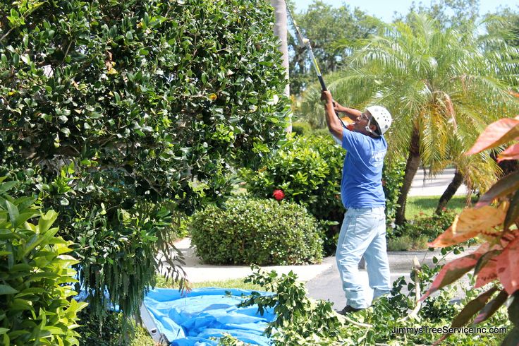 a man in blue shirt and white hat standing next to trees with bags on them