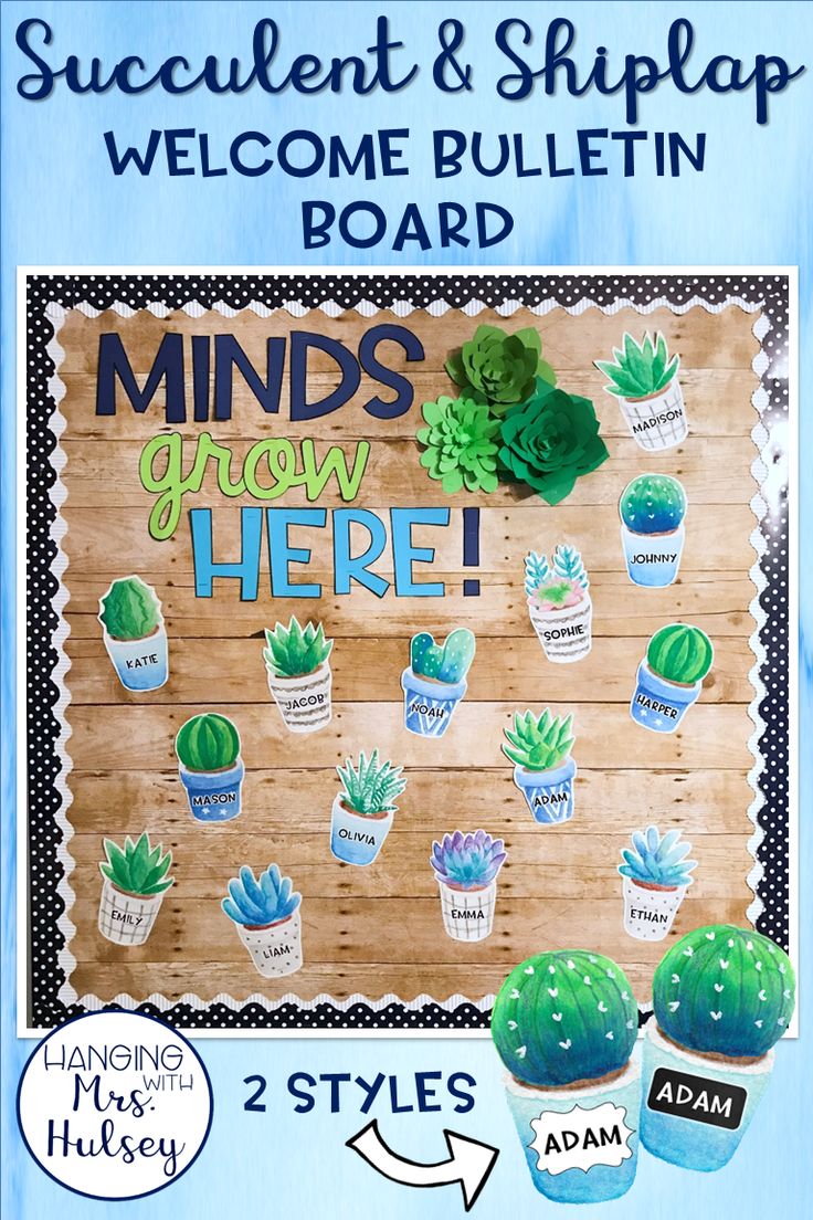 a bulletin board with succulent and striplap welcome bulletin boards on it