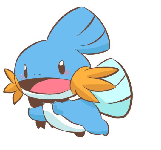 Pin on Cult of Mudkip