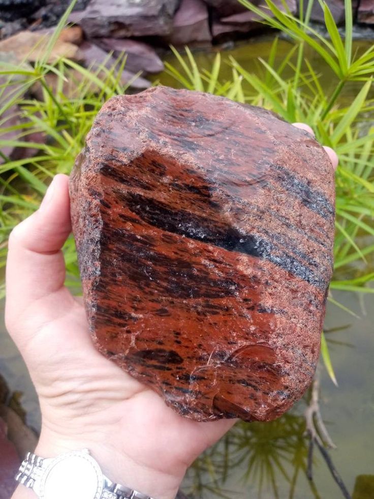 1.76 LB Large Raw Mahogany Obsidian Crystal. Black Red image 0 Lapidary Tools, Red Obsidian, Mineral Identification, Glass Dragon, Rock Identification, Black Obsidian Crystal, The Gift Of Prophecy, Dragon Stone, Dragon Glass