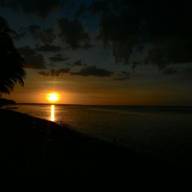 the sun is setting over the ocean with clouds in the sky and trees on the shore