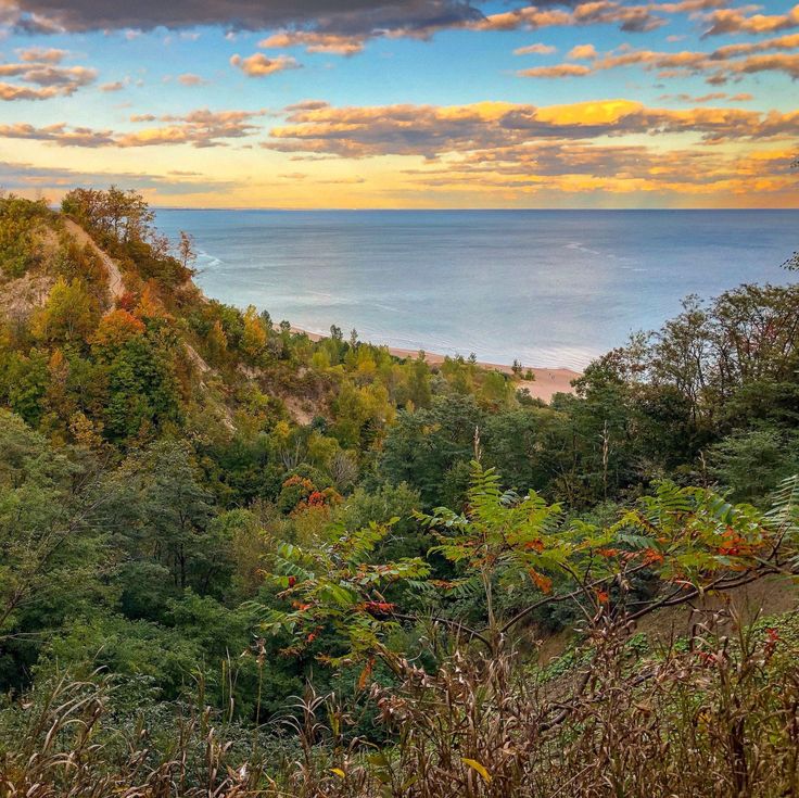 a scenic view of the ocean and trees from a hill top in front of some clouds