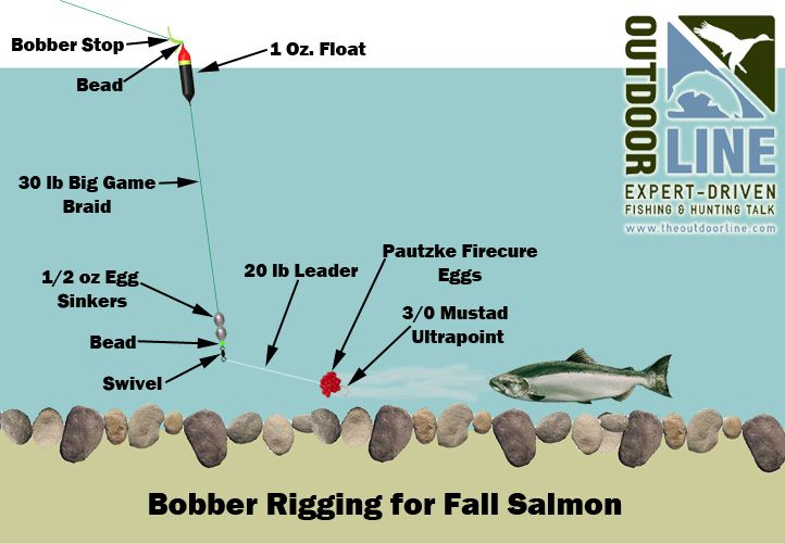 an image of a fishing line with the name bobber rigging for fall salmon