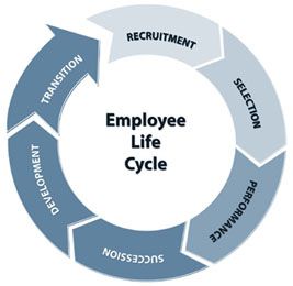 HR Diploma | Life cycles, Resource management, Human resources