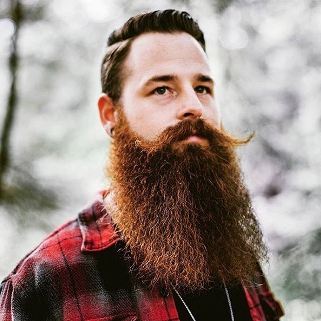 The Flannel Life | Long hair beard, Big beard styles, Beard