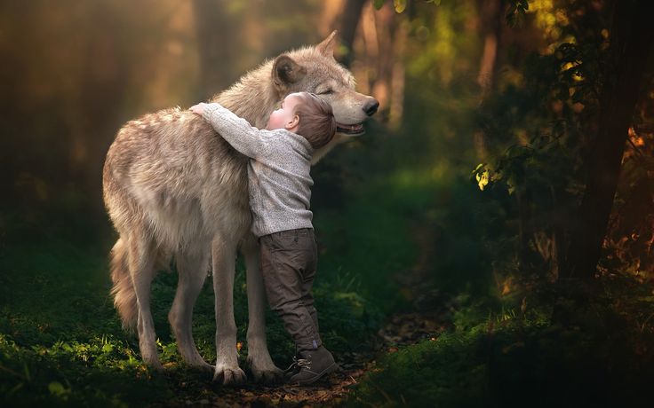 a young boy hugging a wolf in the middle of a forest with sunlight streaming through trees