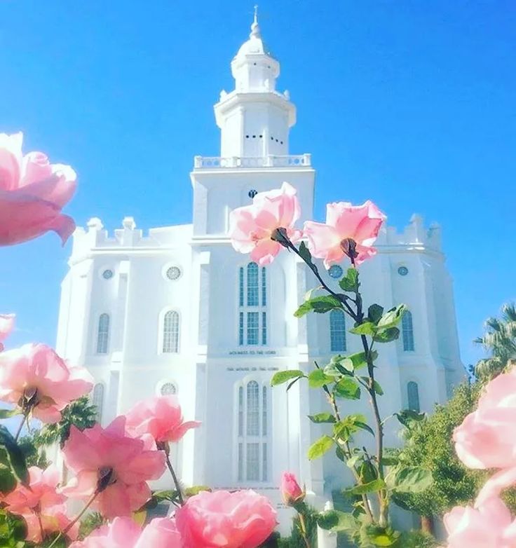 pink flowers in front of a white church